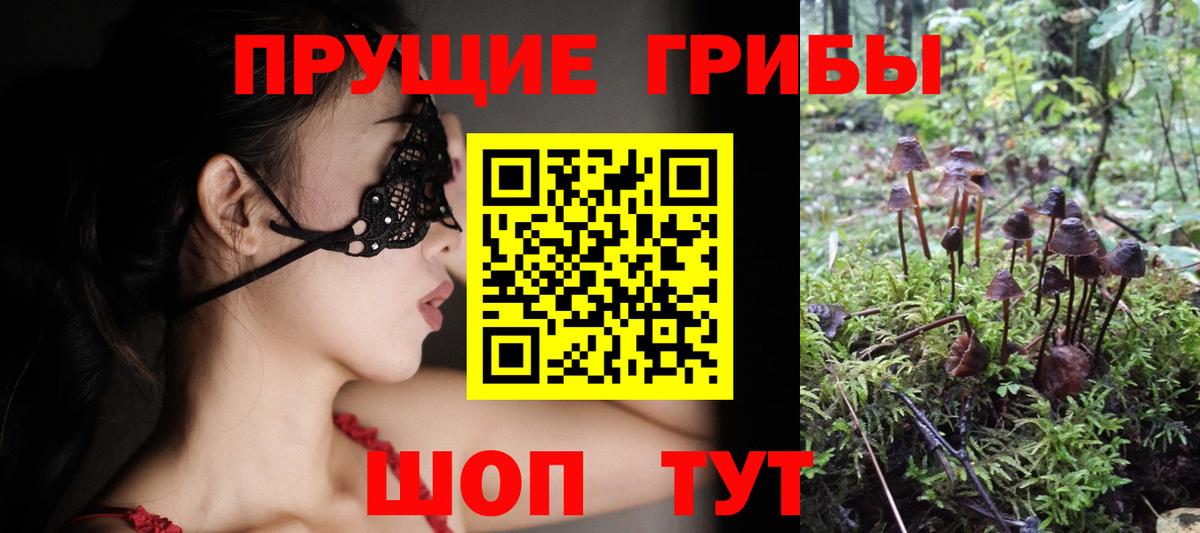 Галлюциногенные грибы мухоморы Дзержинский